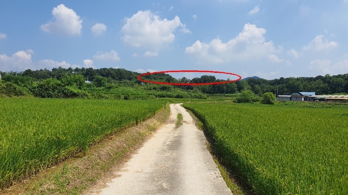 2024타경4228 사진
