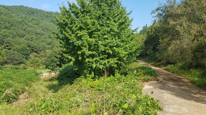2024타경4300 사진