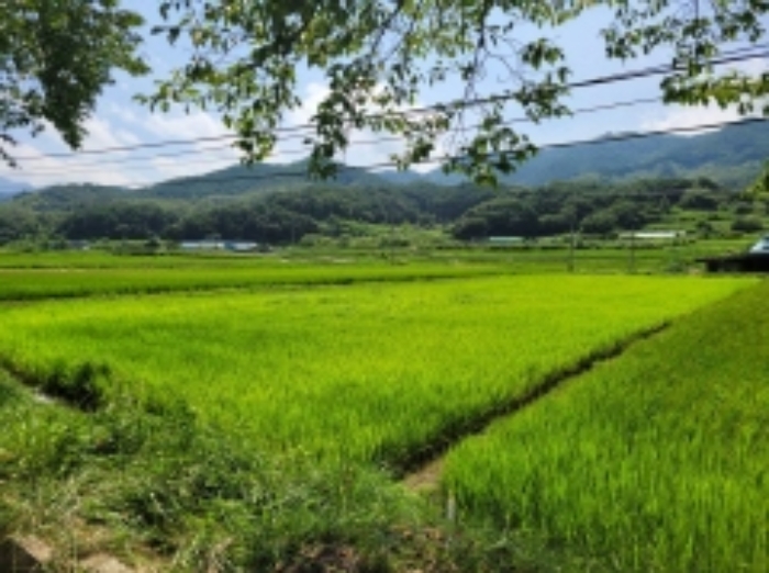 2024타경4307 사진