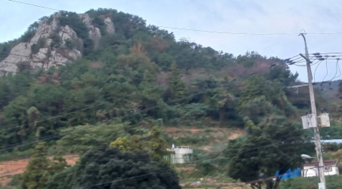 2024타경5129 사진