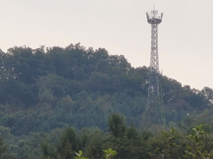 2024타경5535 사진