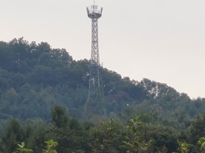 2024타경5535 사진