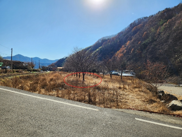 2024타경6365 사진