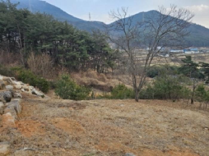 2024타경6624 사진