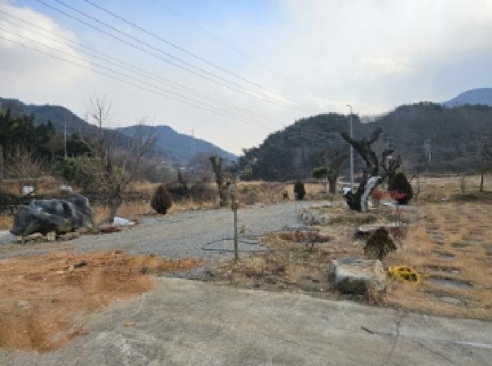 2024타경6624 사진