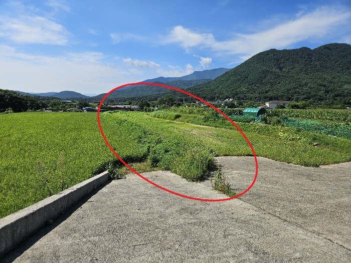 2024타경6863 사진