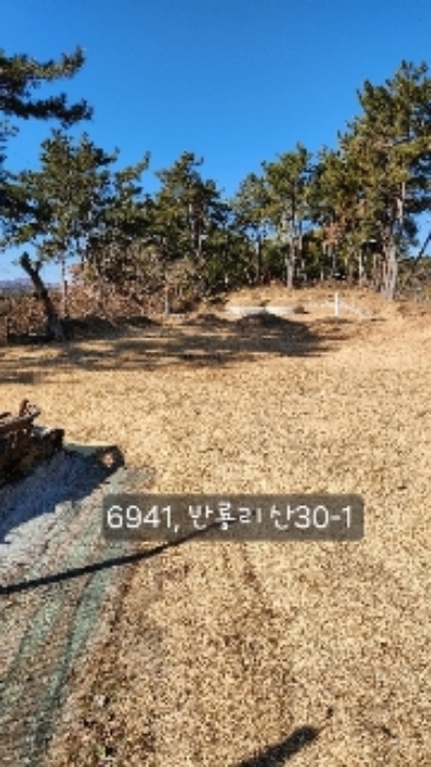 2024타경6941 사진