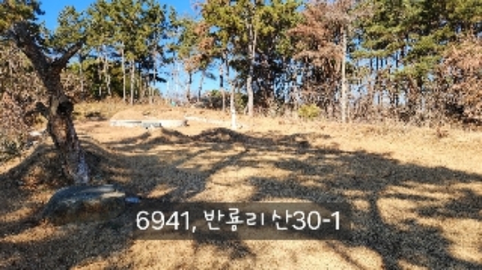 2024타경6941 사진