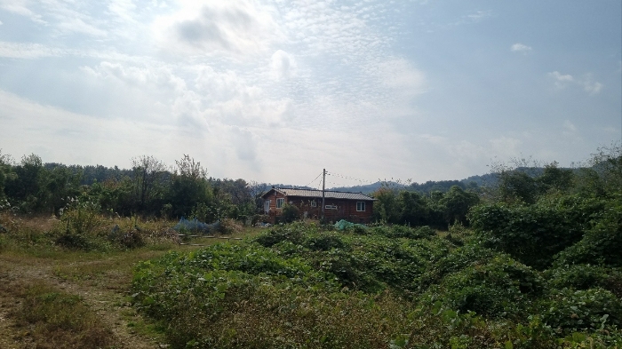2024타경7037 사진