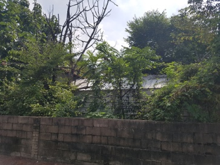 2024타경11608 사진