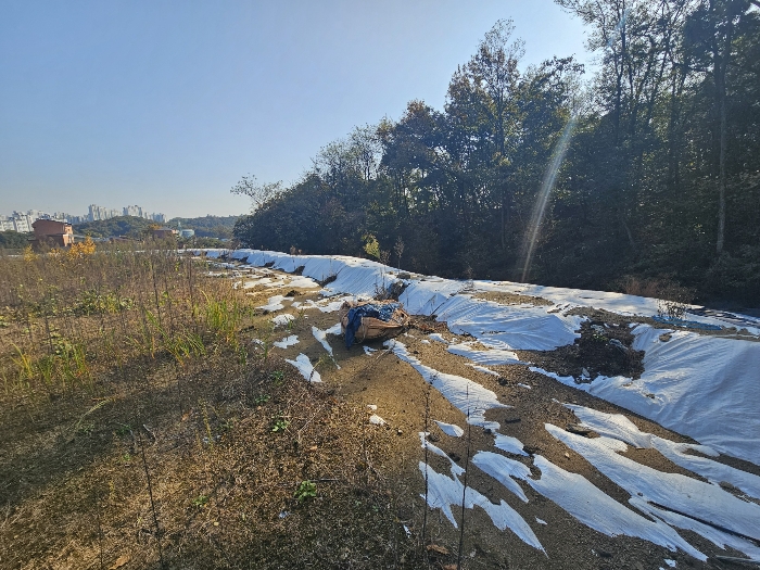 2024타경11794 사진