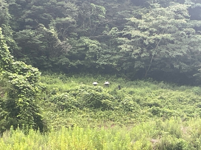 2024타경12602 사진