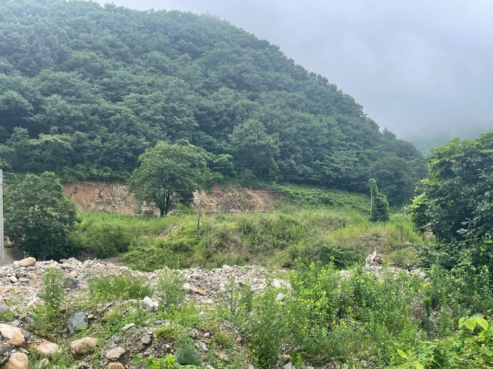 2024타경12602 사진