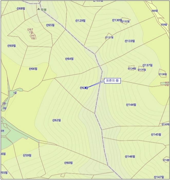2024타경12854 사진