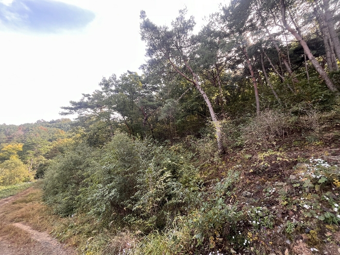2024타경12854 사진