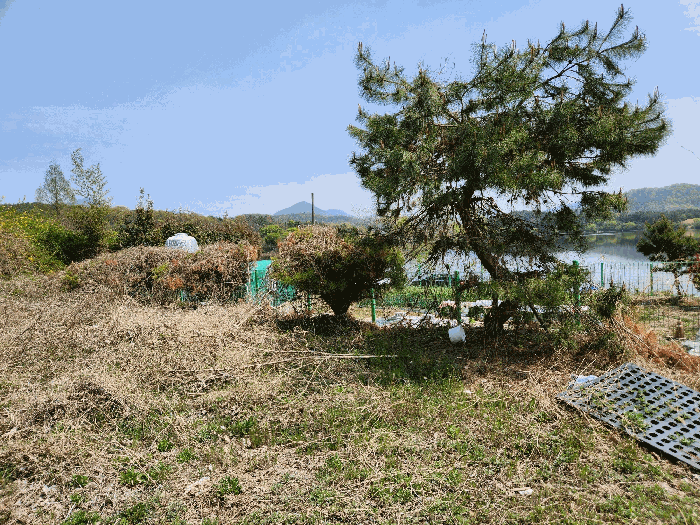 2024타경13277 사진