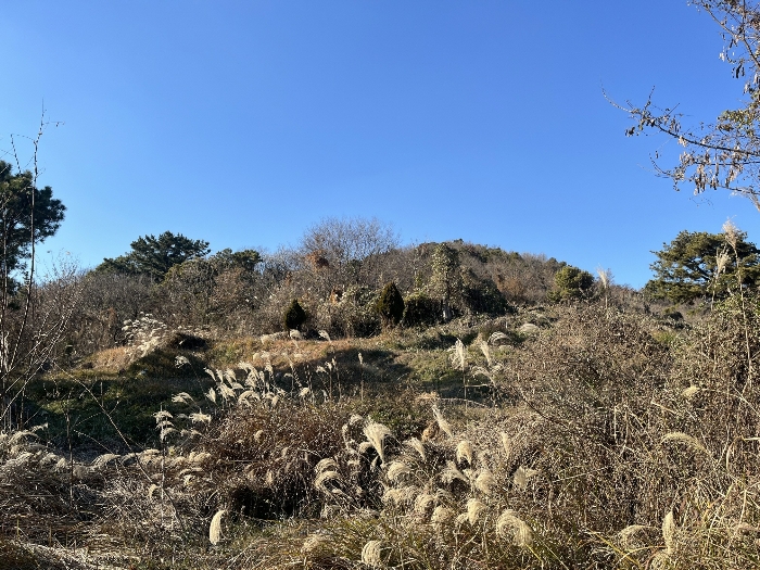 2024타경13406 사진
