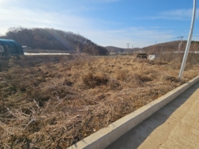 2024타경15706 사진