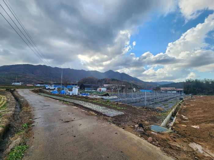 2024타경21429 사진