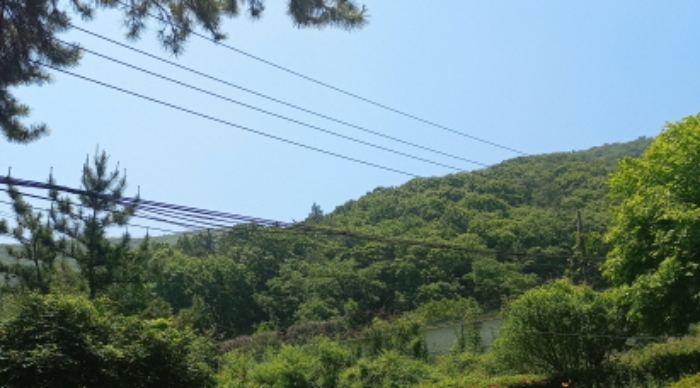 2024타경24755 사진