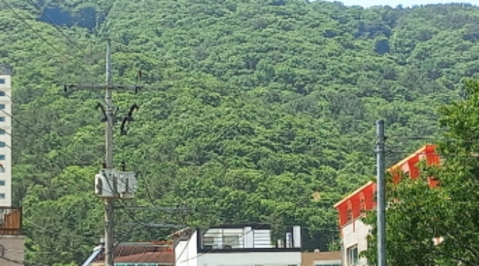 2024타경24755 사진