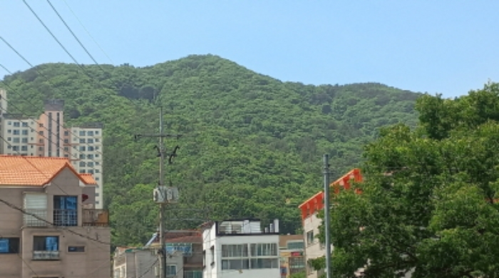 2024타경24755 사진