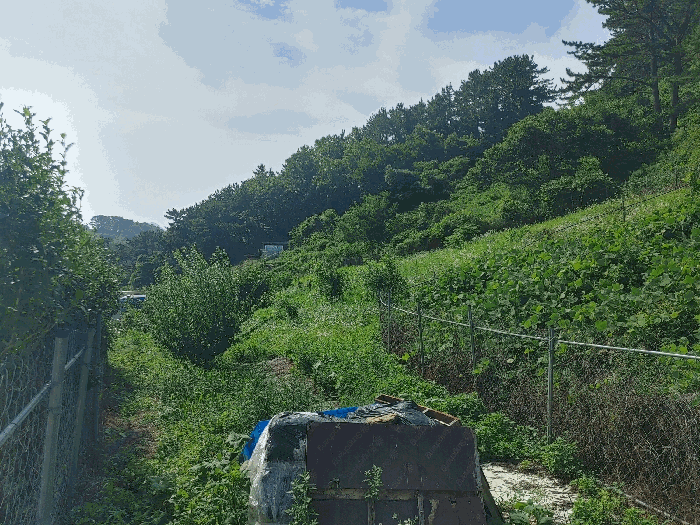 2024타경26454 사진