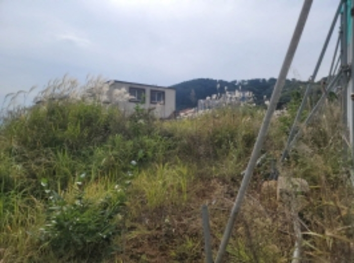 2024타경29064 사진