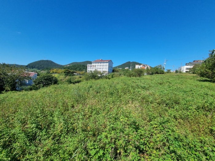 2024타경29774 사진
