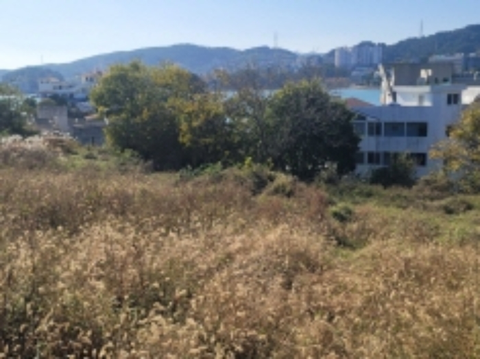 2024타경29774 사진