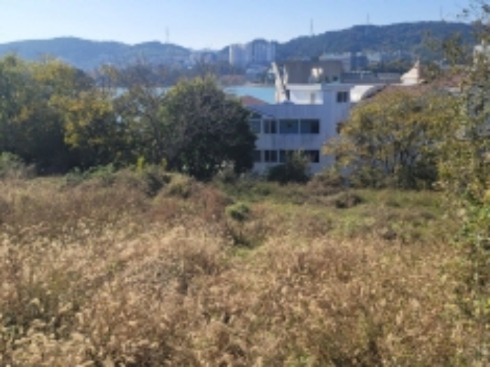 2024타경29774 사진