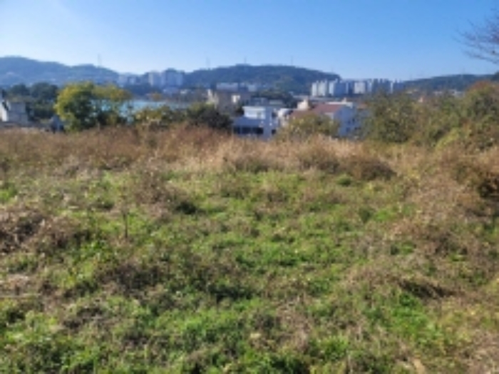 2024타경29774 사진