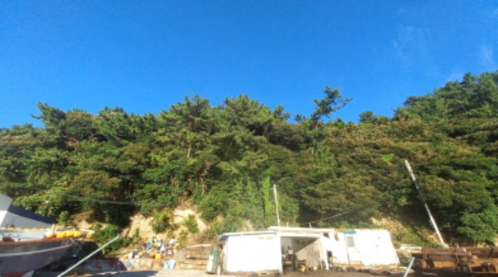 2024타경29781 사진