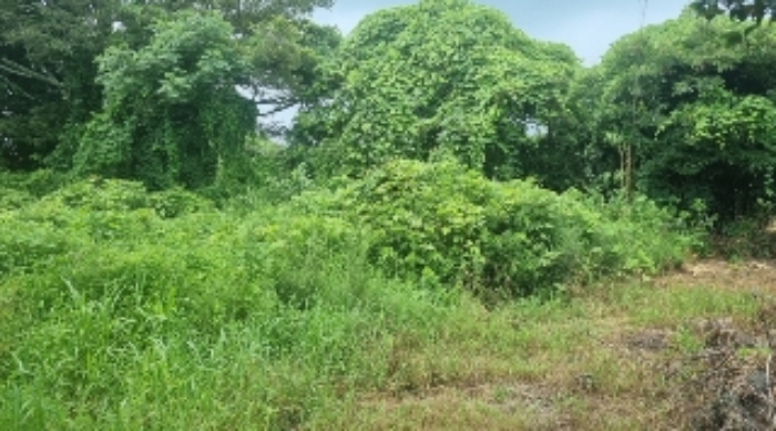 2024타경30743 사진
