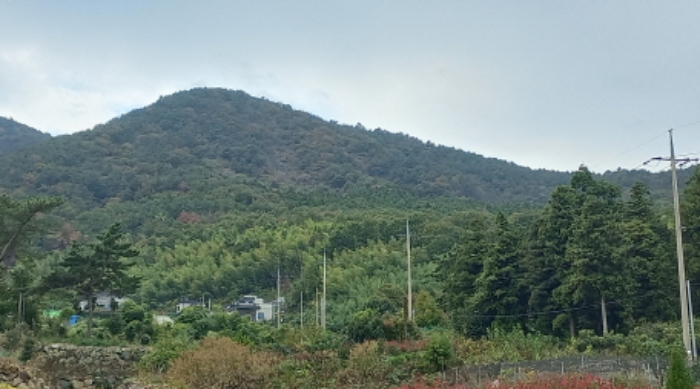 2024타경30996 사진