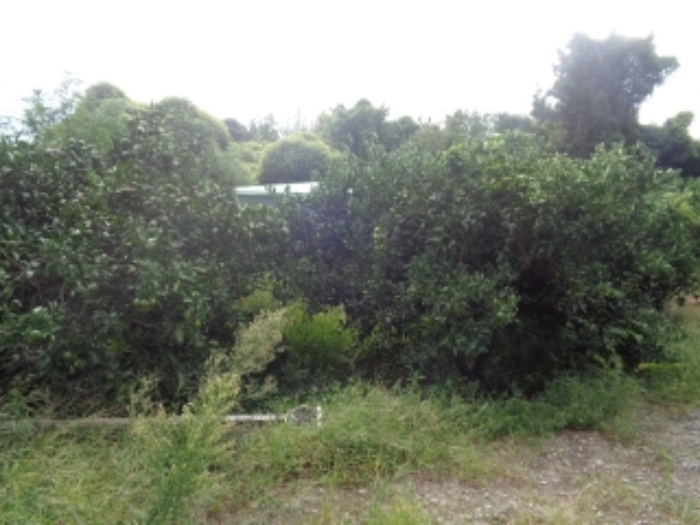 2024타경31159 사진