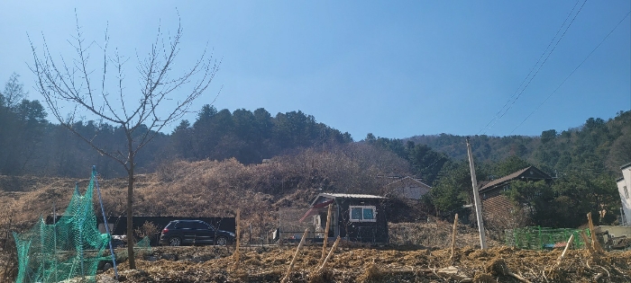 2024타경31640 사진