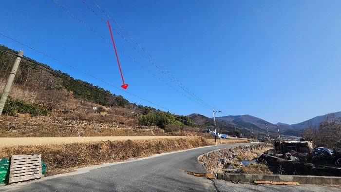 2024타경32817 사진