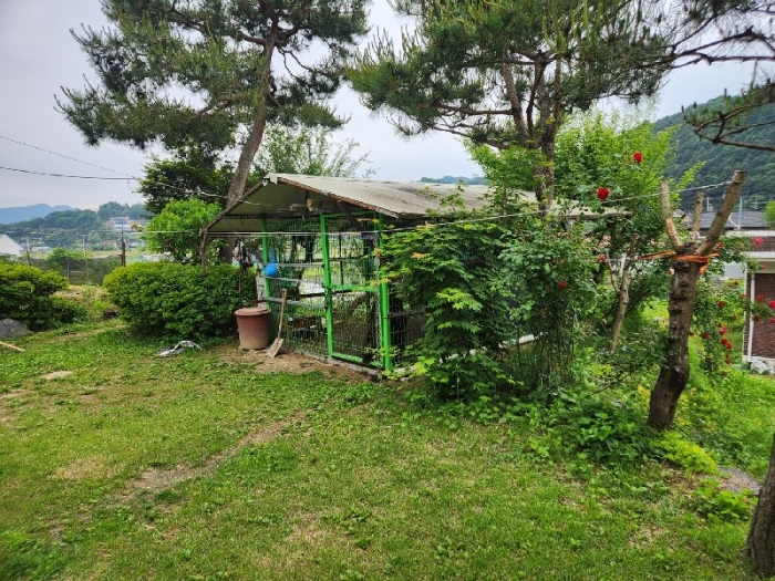 2024타경33684 사진