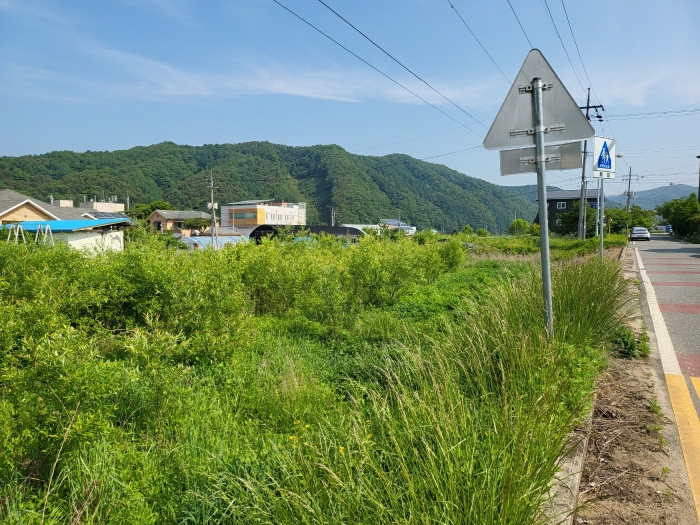 2024타경34274 사진