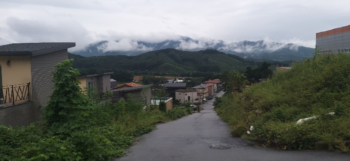 2024타경34527 사진