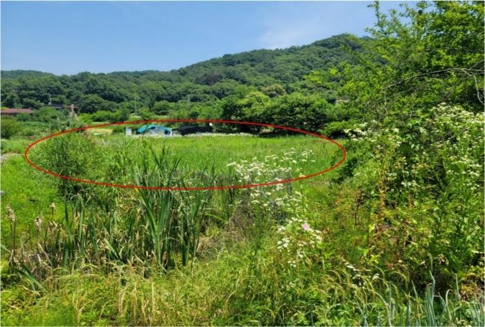 2024타경35383 사진