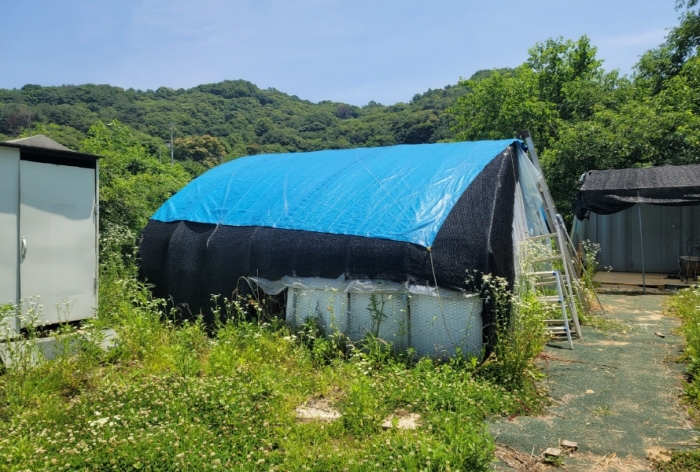 2024타경35383 사진