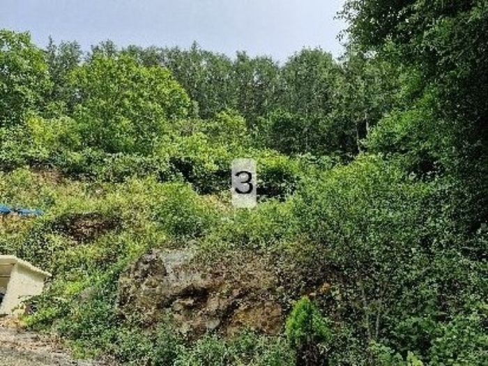 2024타경35543 사진