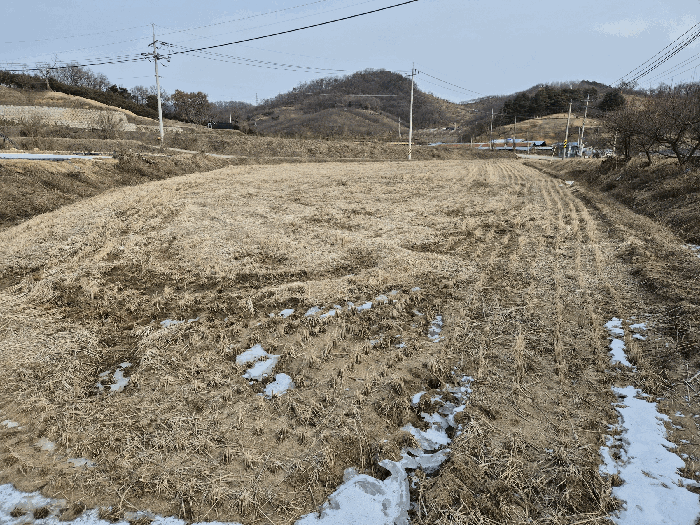 2024타경35766 사진