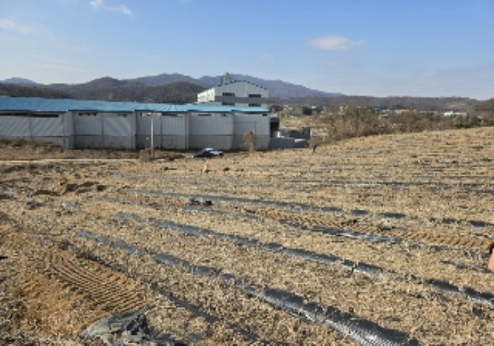 2024타경35995 사진