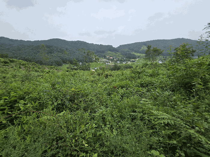 2024타경36904 사진