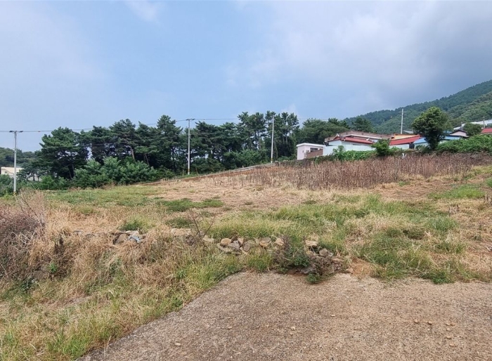 2024타경37086 사진