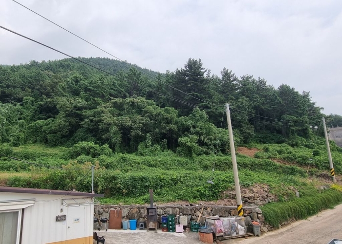 2024타경37086 사진
