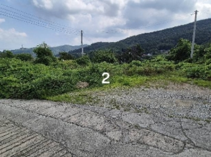2024타경37273 사진